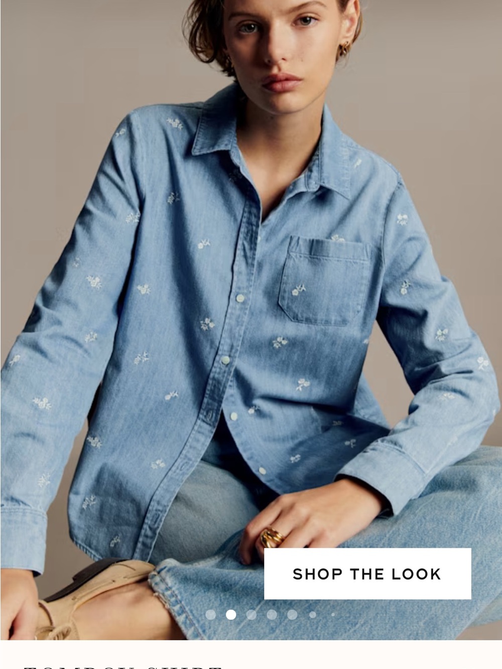 Sesame Button Down in Embroidered Denim (XS)